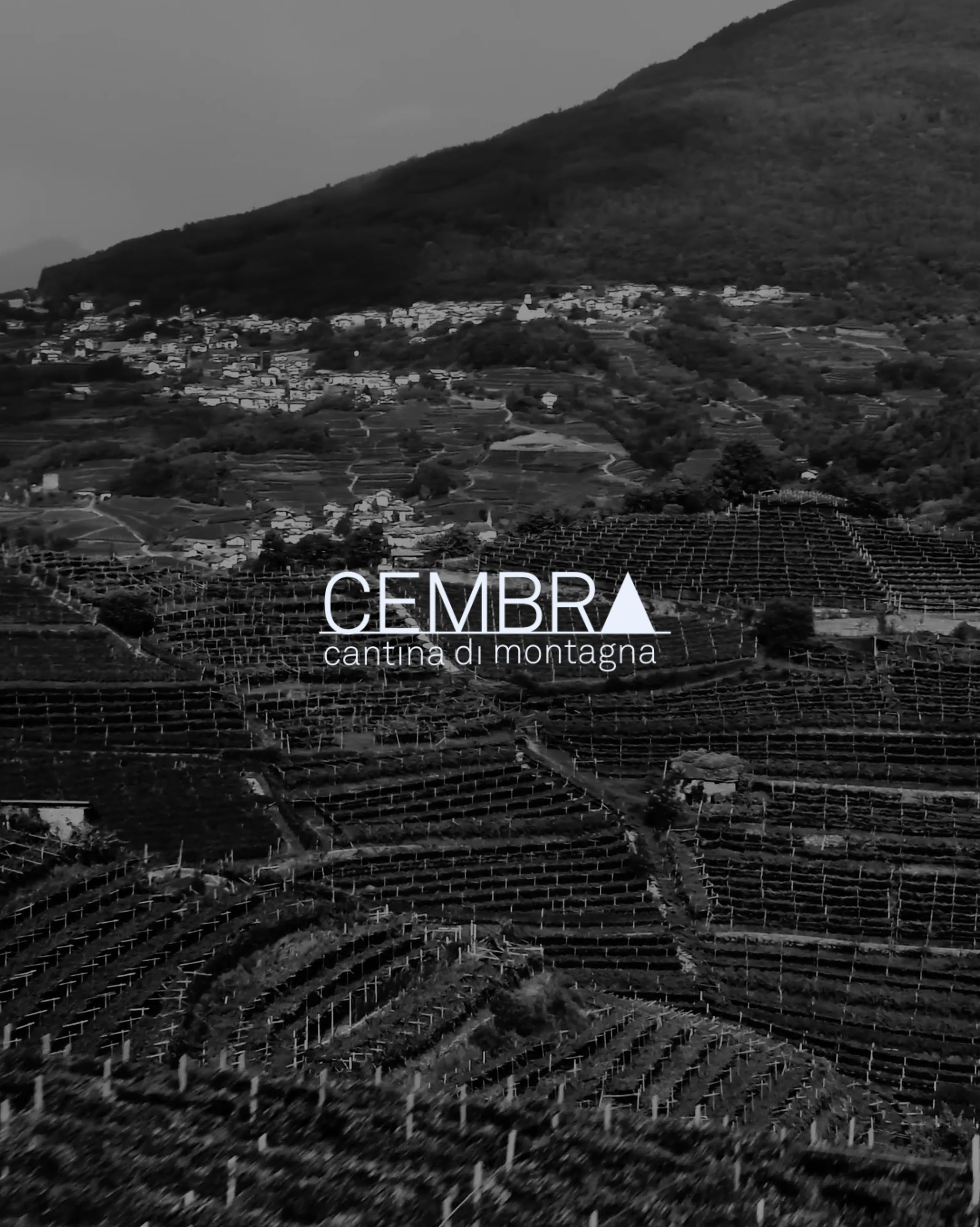 Cembra-Plus-Video-CH