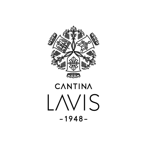 plus-portfolio-cantina-lavis