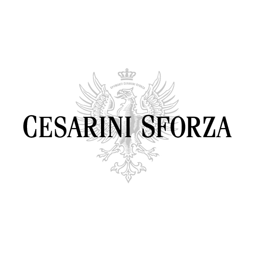 plus-portfolio-cesarini-sforza-spumanti